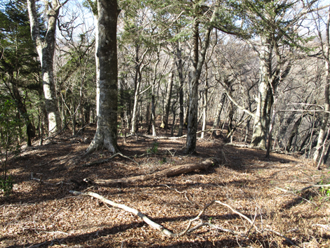 20190121hike (190)